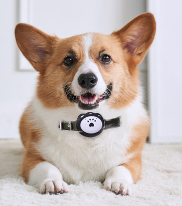 Recommended dog anti-lost! The most popular pet locator in 2024?(图3)